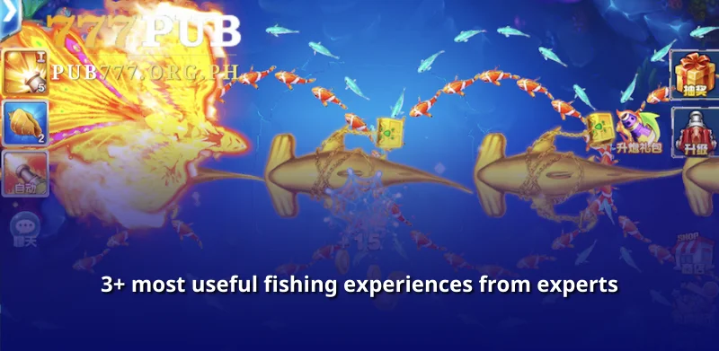 3+ most useful fishing experiences from experts