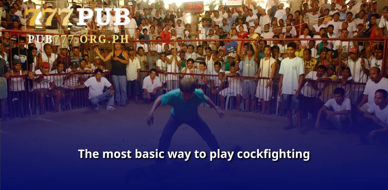 The most basic way to play cockfighting