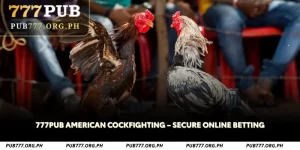 777pub american cockfighting