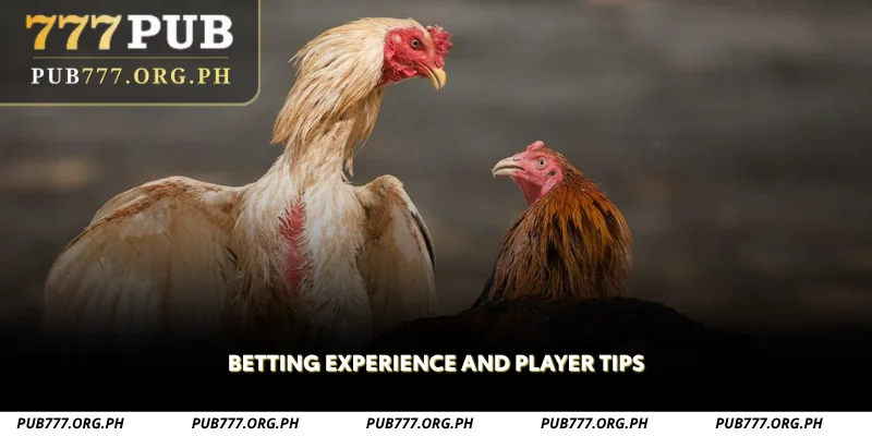 betting experience and player tips