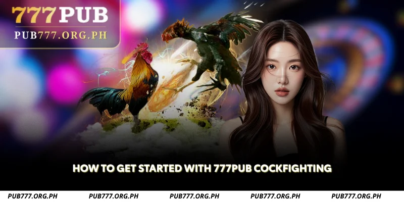 how to get started with 777pub cockfighting