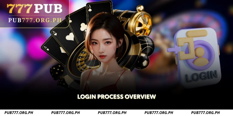 login process overview