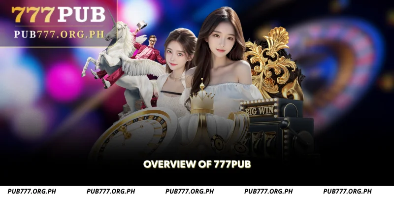 overview of 777pub