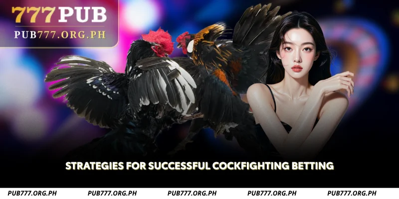 strategies for successful cockfighting betting