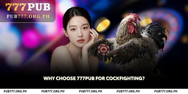 why choose 777pub for cockfighting